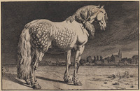 KG 04493
<br/>
Fries paard in de wei
<br/>
<em>Claussin, Ignace Joseph (1795 - 1844)</em>